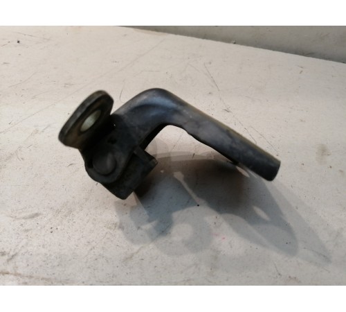 Петля двери задняя левая нижняя