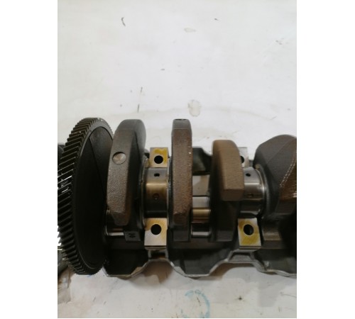 Вал коленчатый с постелью, коленвал