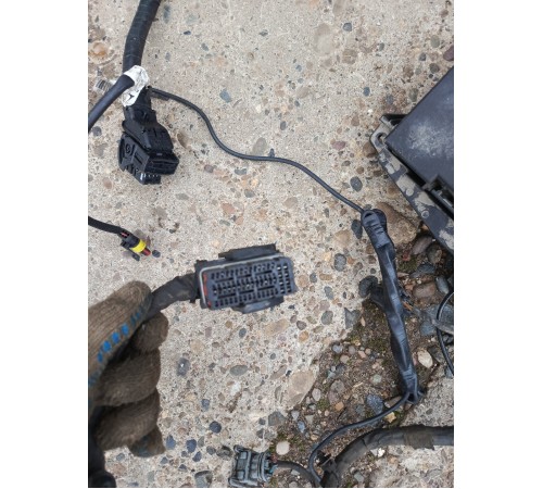 Электропроводка салона