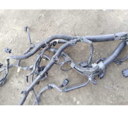 Электропроводка моторная