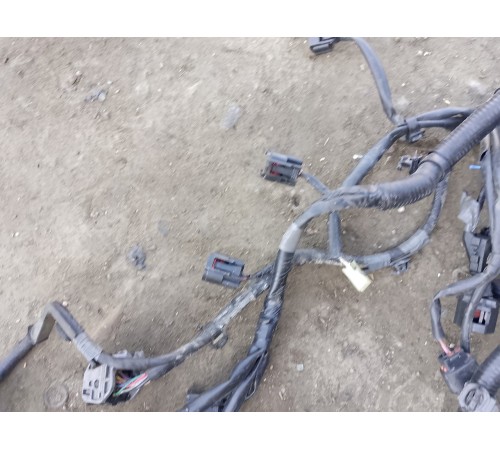 Электропроводка моторная