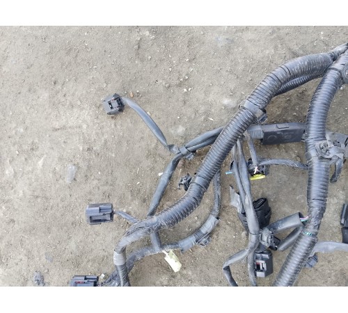 Электропроводка моторная