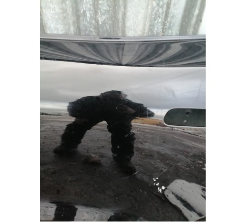 Дверь задняя левая