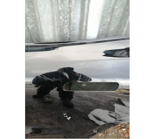 Дверь задняя левая