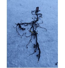 Электропроводка подторпедная