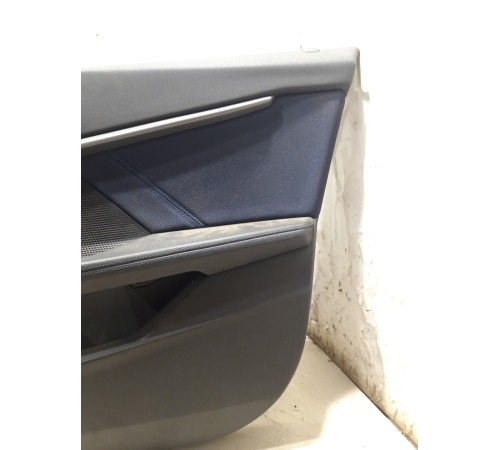 Обшивка двери(передняя правая)