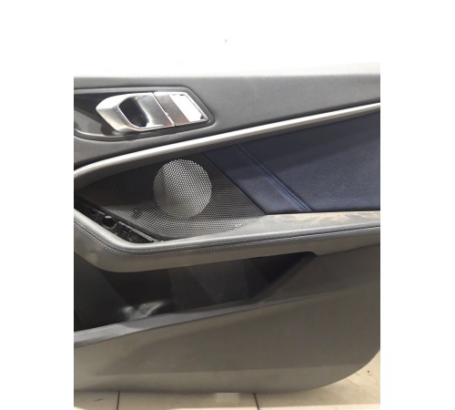 Обшивка двери(передняя правая)