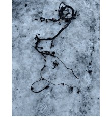 Электропроводка моторная