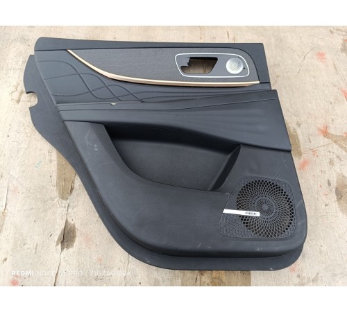 Обшивка двери задняя левая