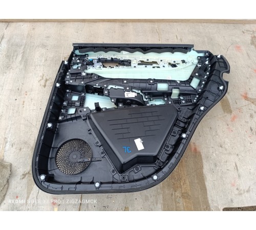 Обшивка двери задняя левая