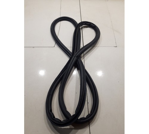 Уплотнитель двери(задний левый)