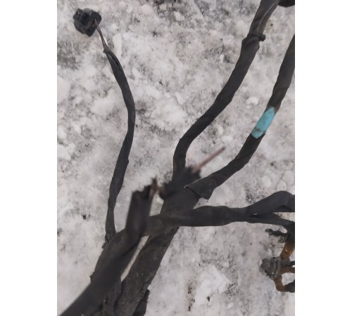 Электропроводка подкапотная