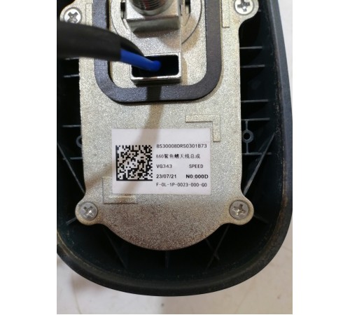 Антенна (плавник)