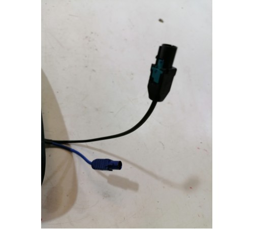 Антенна (плавник)