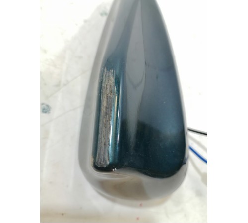 Антенна (плавник)