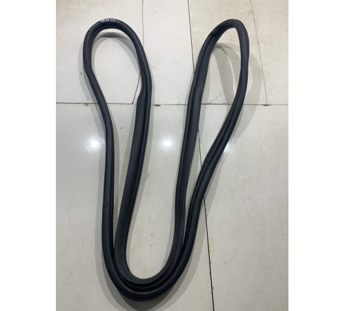 Уплотнитель двери(передний левый)