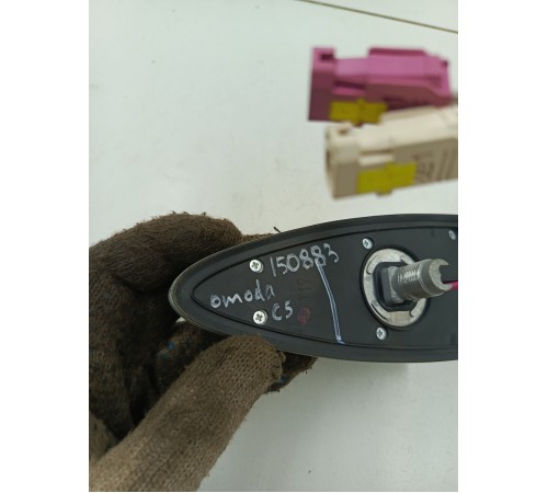 Антенна (плавник)