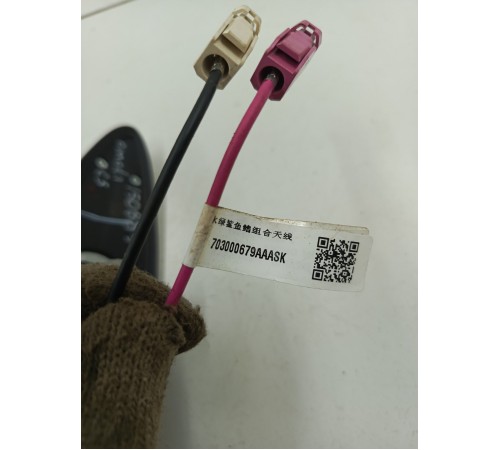 Антенна (плавник)