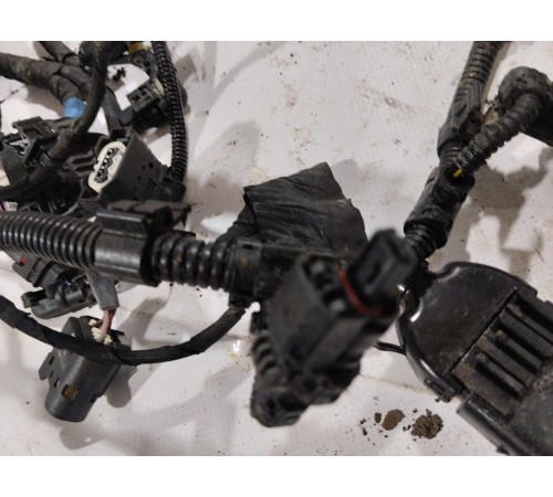 Электропроводка моторная