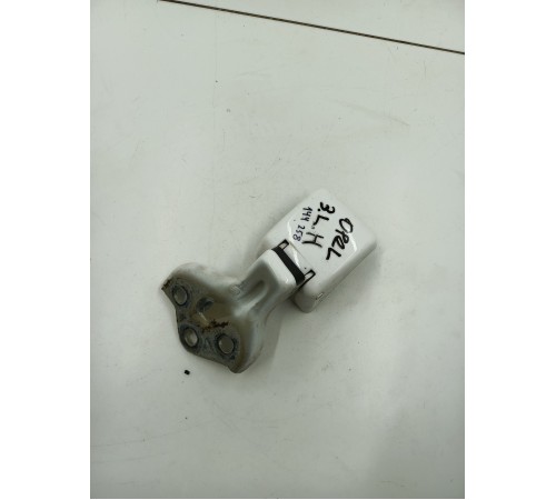 Петля двери задняя левая нижняя