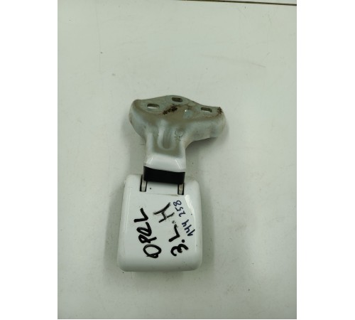 Петля двери задняя левая нижняя