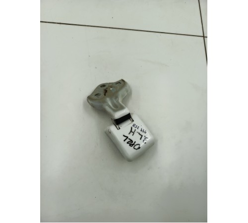 Петля двери задняя левая нижняя