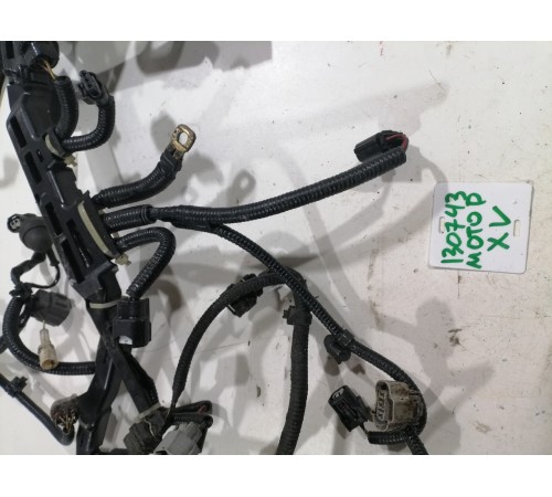 Электропроводка моторная