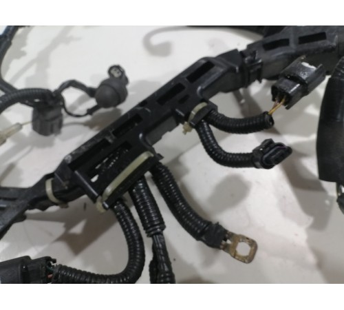 Электропроводка моторная