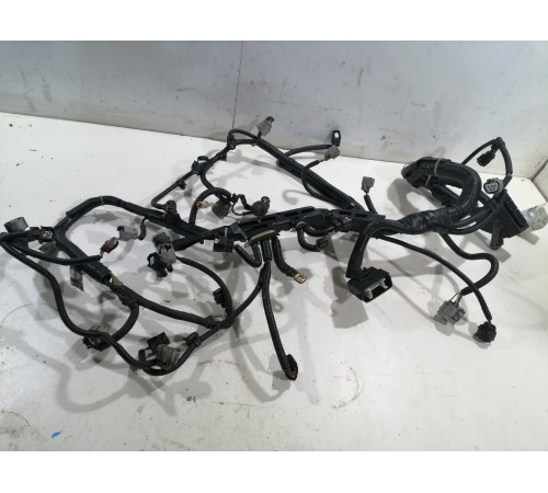 Электропроводка моторная