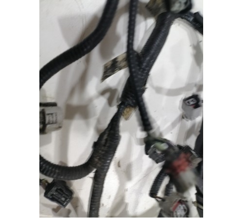 Электропроводка моторная