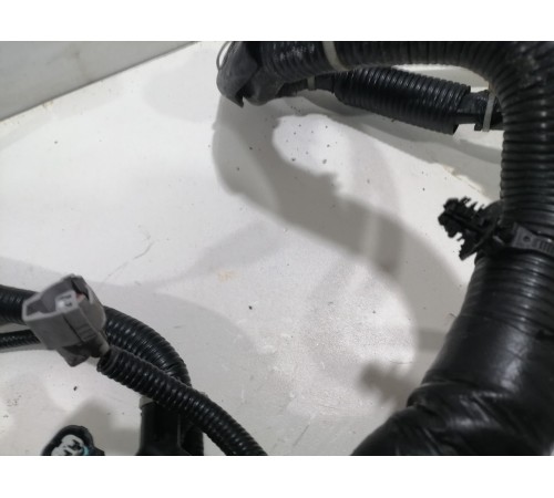 Электропроводка моторная