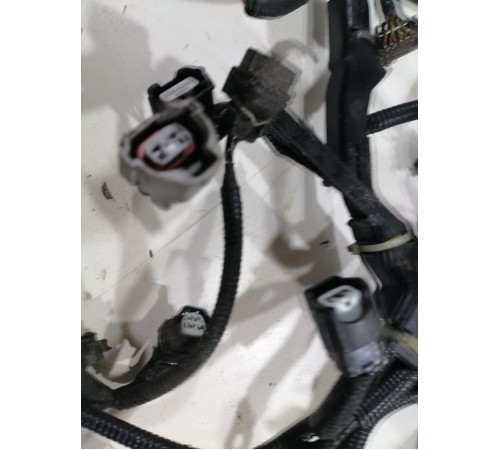 Электропроводка моторная