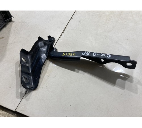 Петля капота (правая)