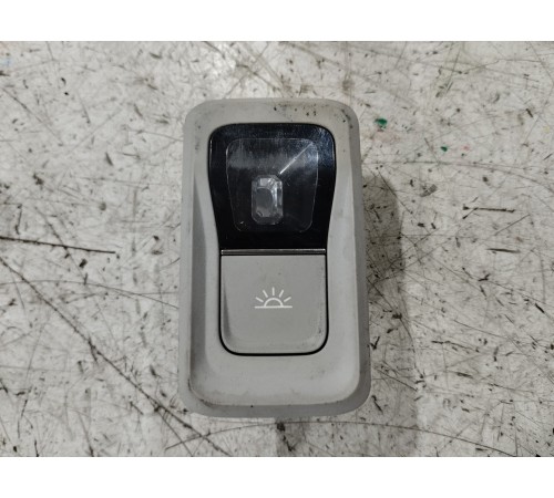 Плафон салона левый