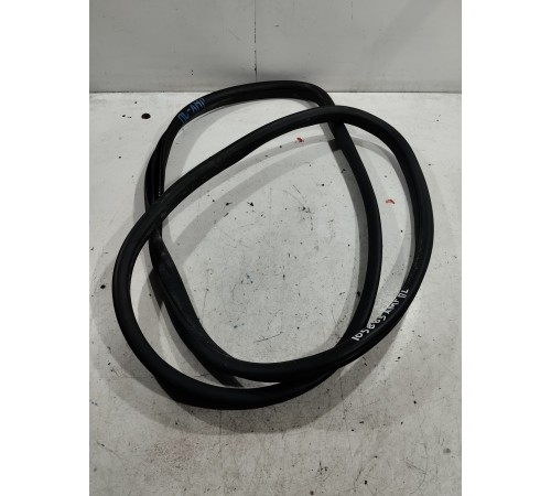 Уплотнитель двери (передний левый)