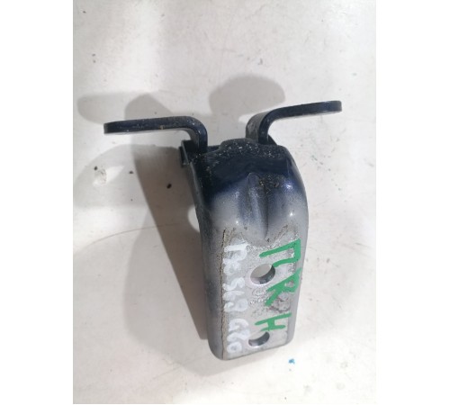 Петля двери передняя правая нижняя