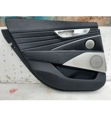 Обшивка двери (задняя левая)