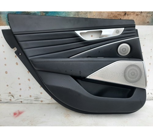 Обшивка двери (задняя левая)