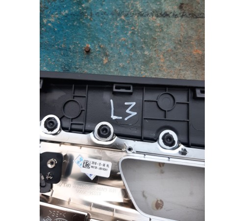 Обшивка двери (задняя левая)