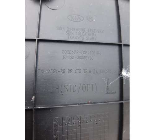 Обшивка двери (задняя левая)