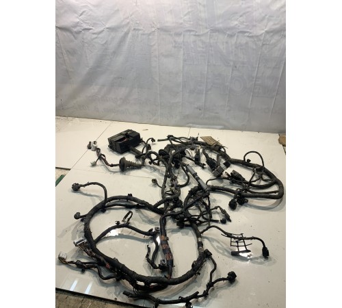 Электропроводка (моторная)