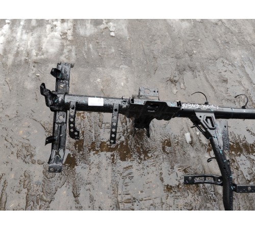 Скелет торпеды