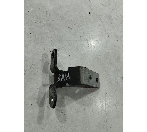 Петля двери(задняя левая нижняя)