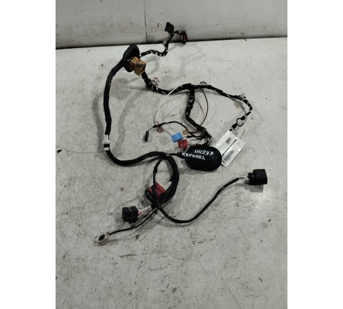 Электропроводка двери передняя левая