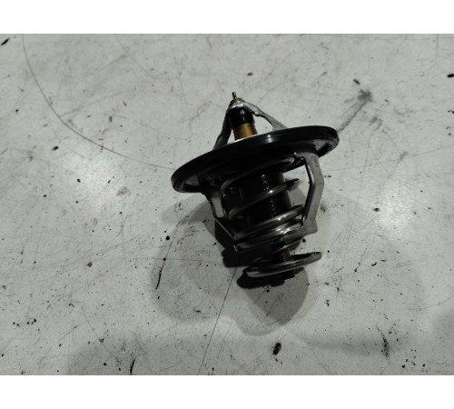 Термоэлемент термостата