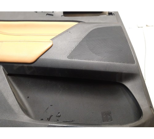 Обшивка двери (задняя левая)