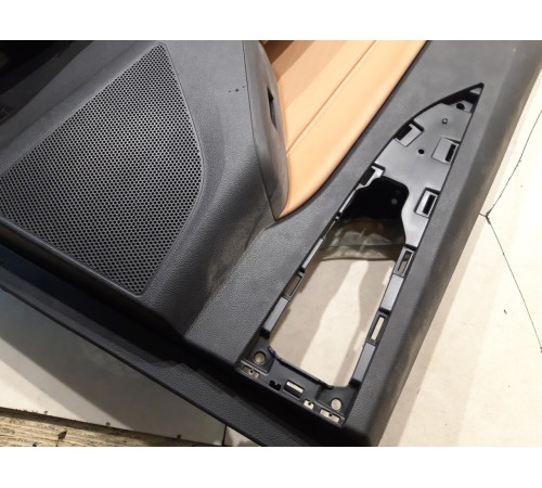 Обшивка двери (задняя левая)