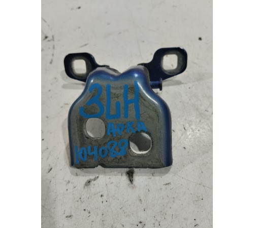 Петля двери(задняя левая нижняя)