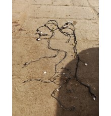 Электропроводка салона