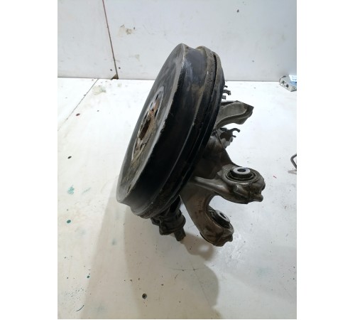 Кулак задний правый